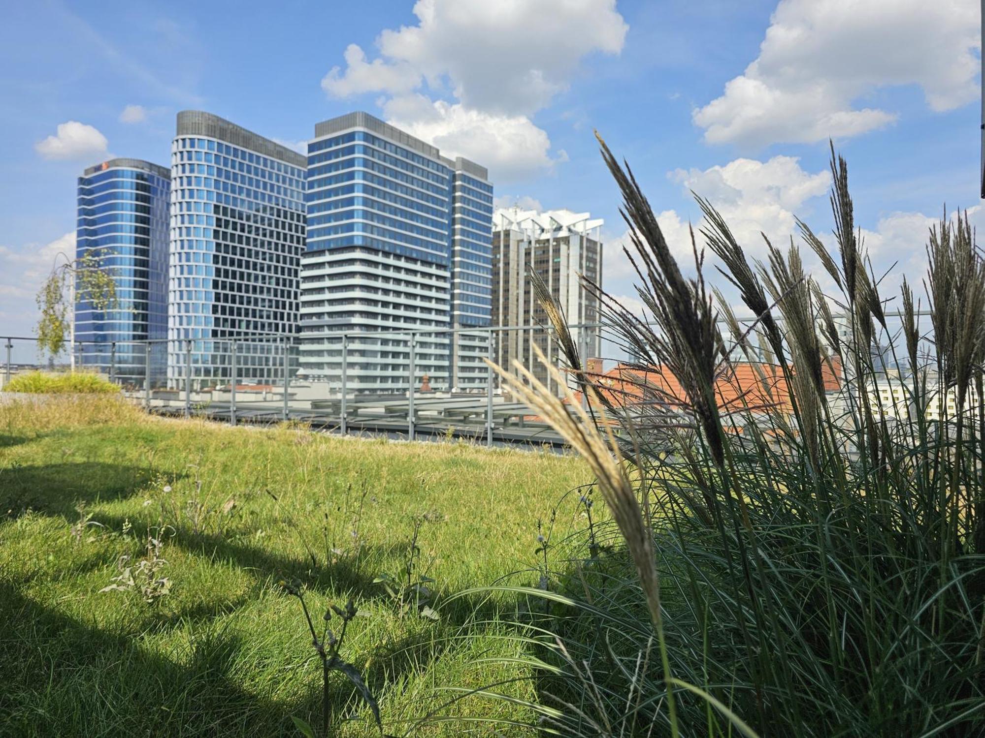 Urban Apartments Premium, Opolska 10 No 77A, Free Garage, Self Check-In カトヴィツェ エクステリア 写真